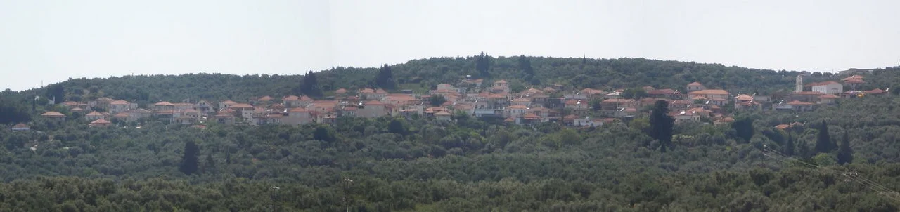 Αμπελόφυτο