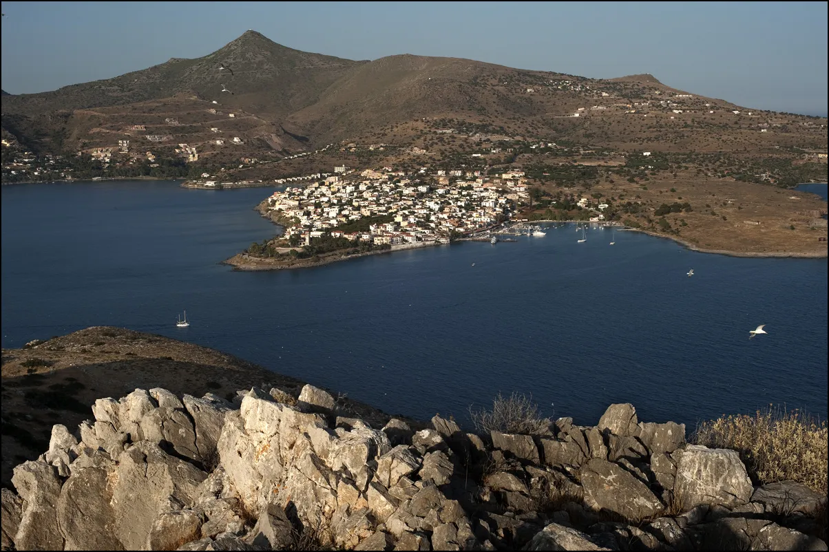 Πέρδικα