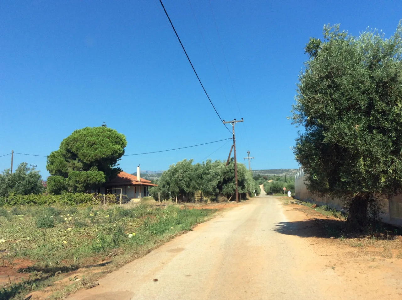 Λαγκουβάρδος Φιλιατρών