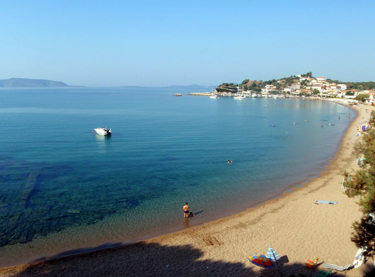 Φοινικούντας