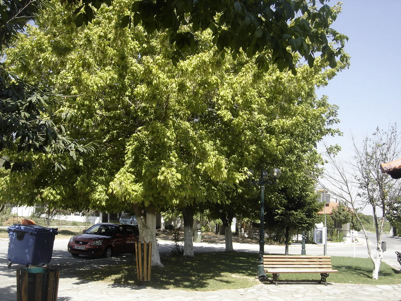 Πλατανάκια