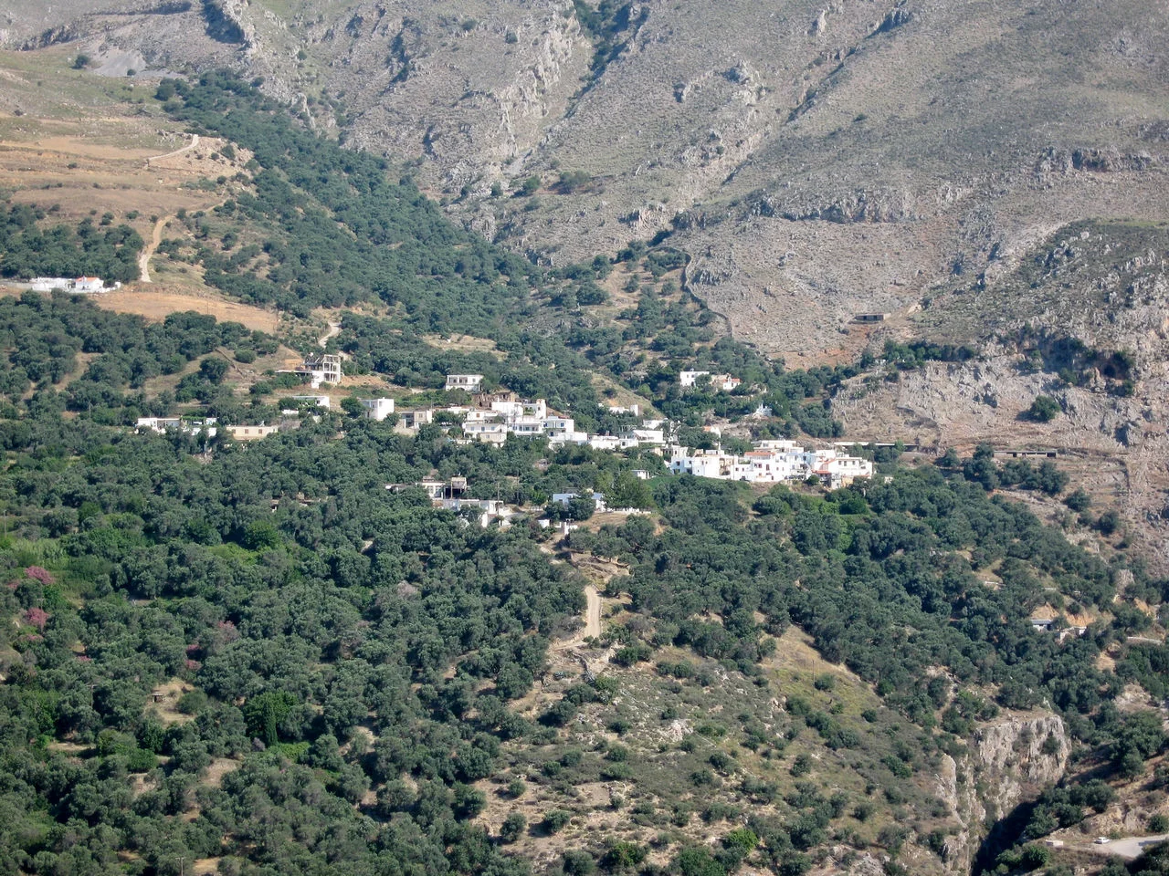 Άνω Ροδάκινο