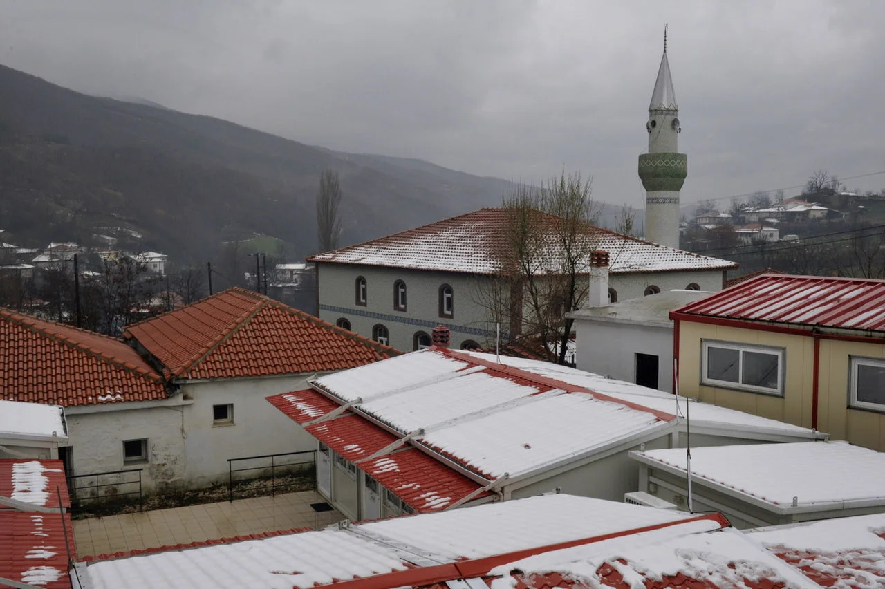 Οργάνη