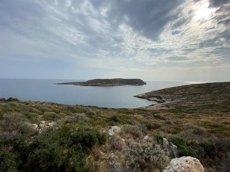 Βένιζα