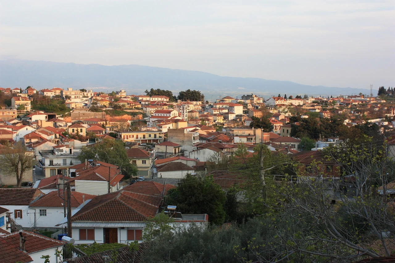 Νέα Ζίχνη