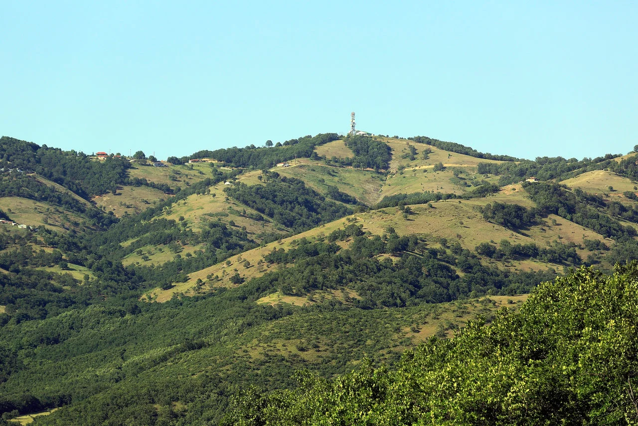 Βλαχάβα