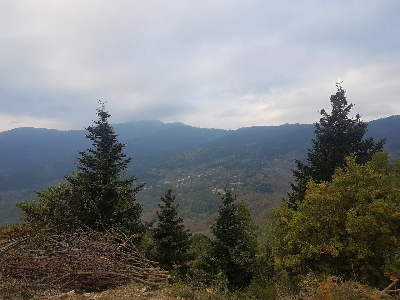 Βροντερό
