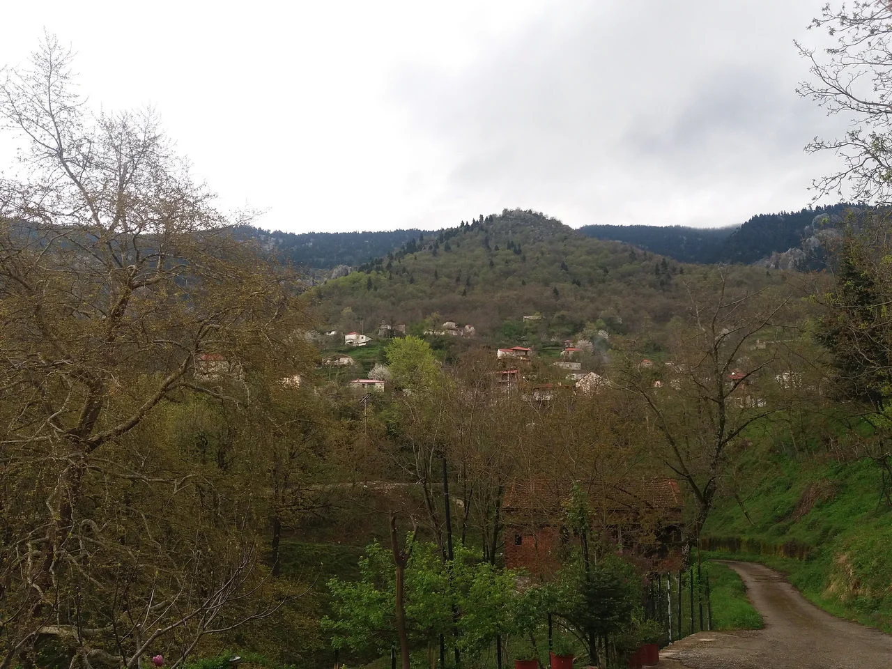 Γλυκομηλιά