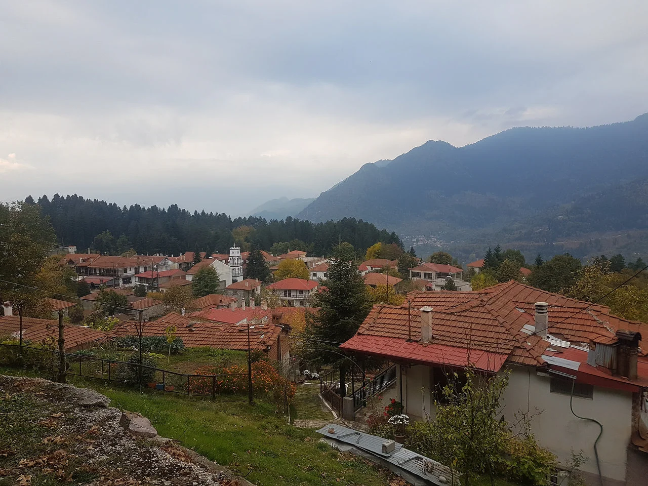 Ελάτη
