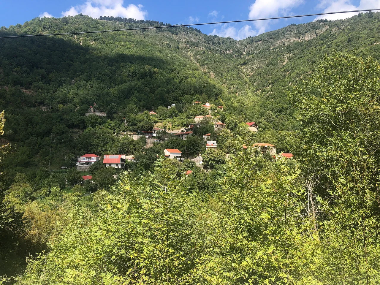 Μοσχόφυτο