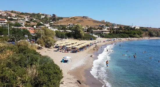 Ελιές Δασκαλειού