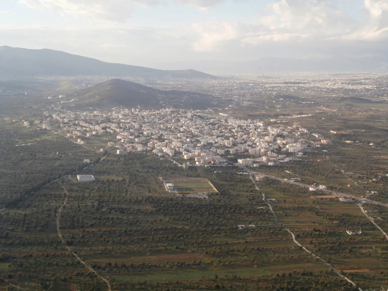 Ήμερος Πεύκος