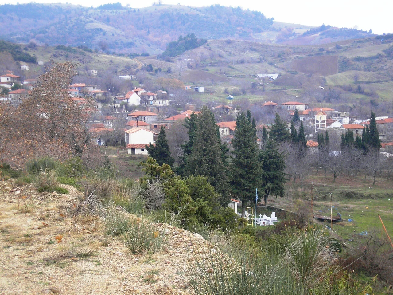 Καρυά