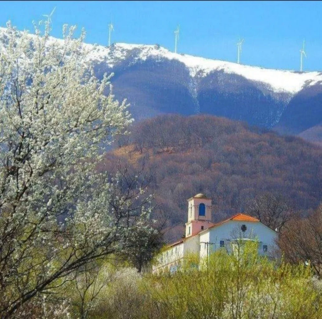 Ακρίτας