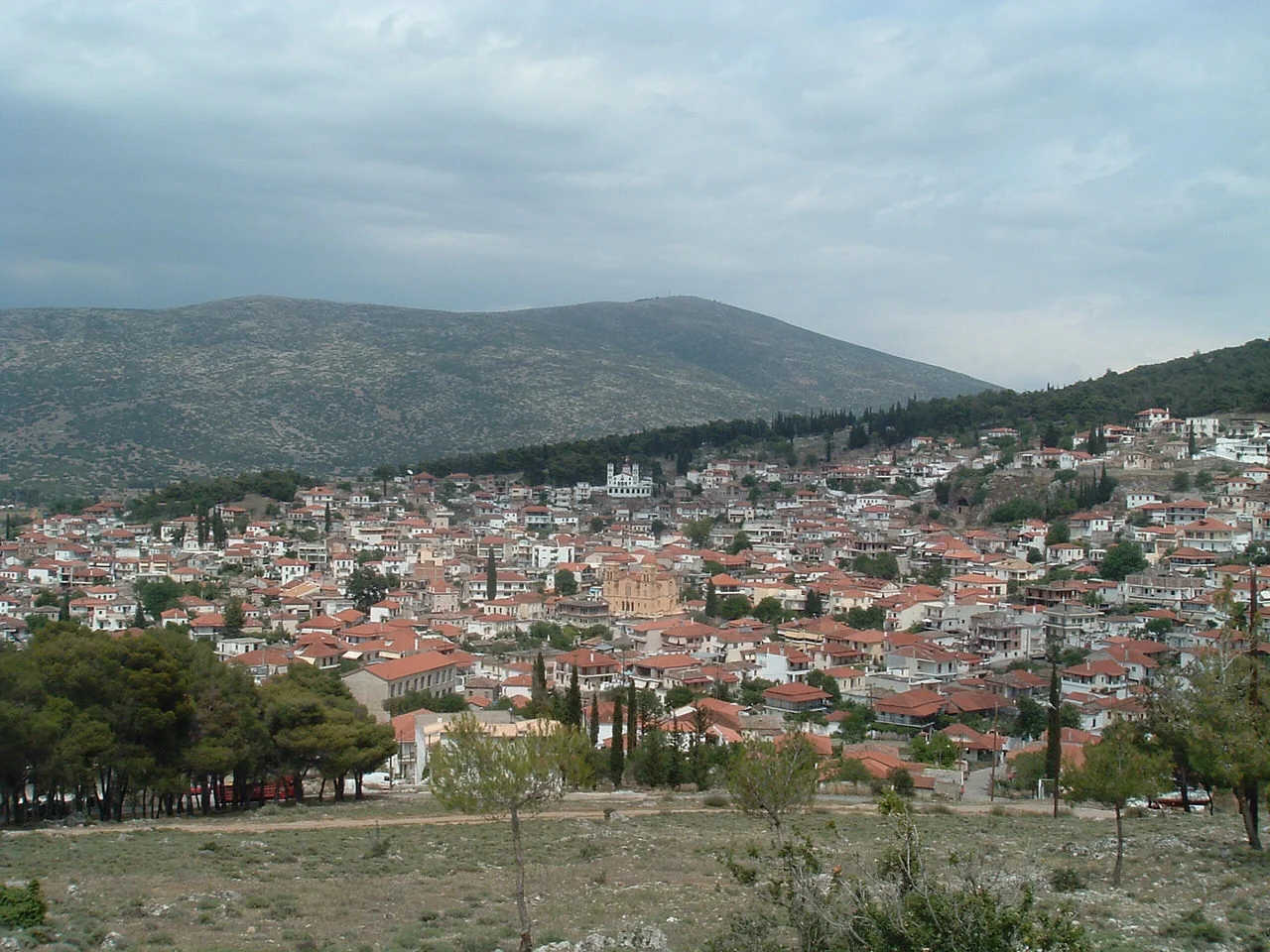 Δεσφίνα