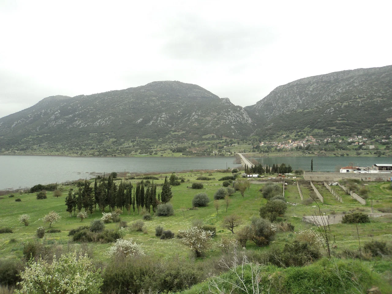 Λιδορίκι
