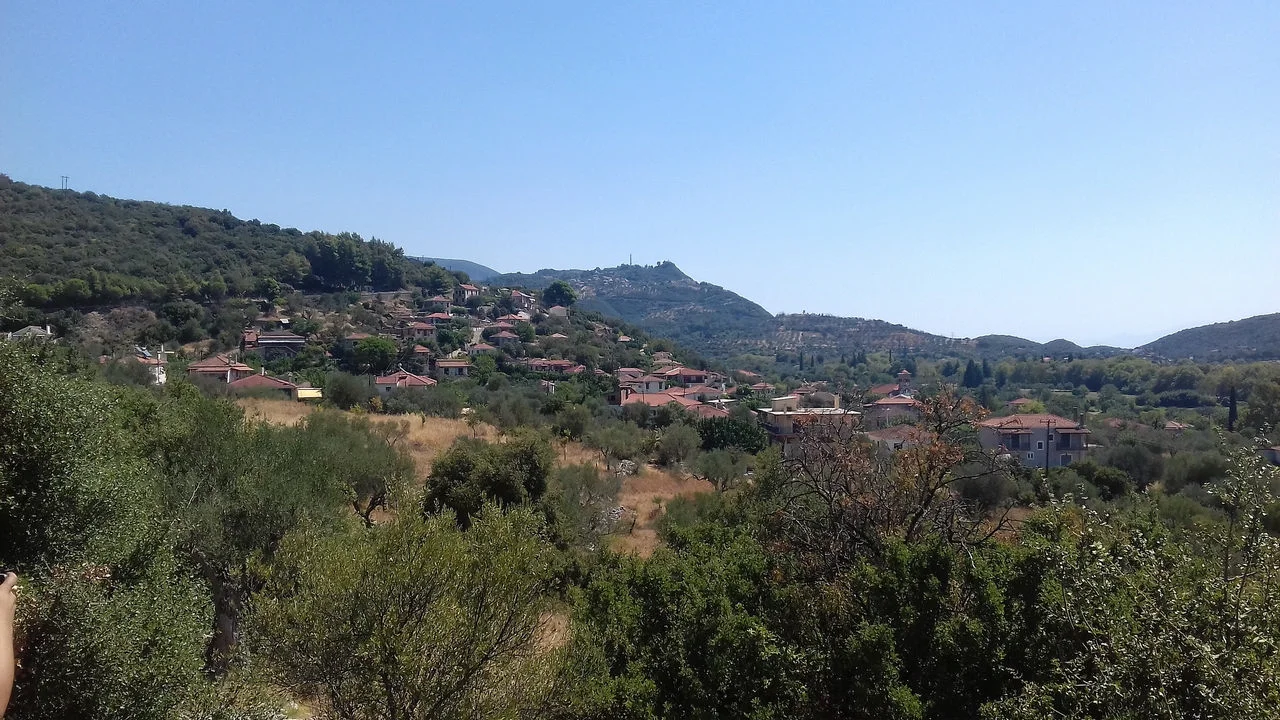 Πευκάκι