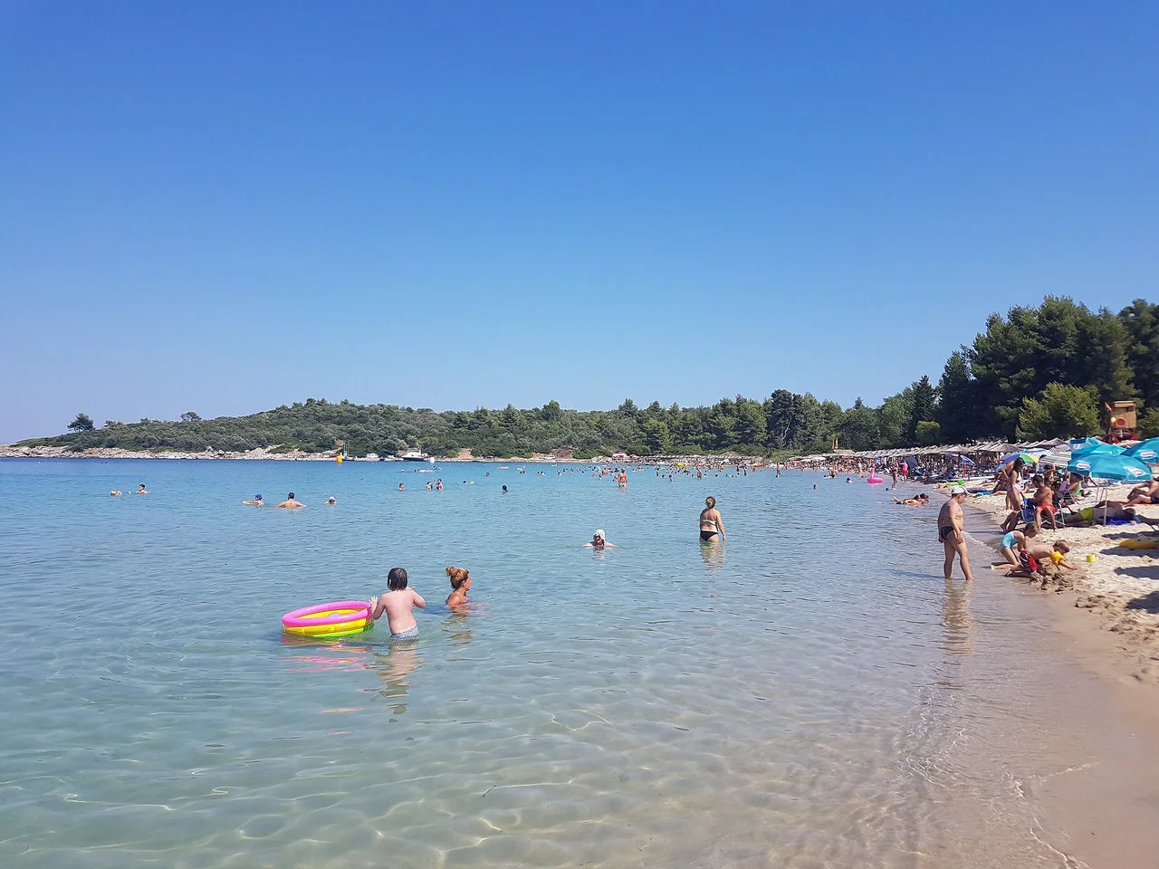Παλιούρι
