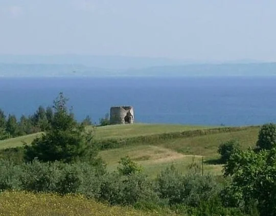 Πευκοχώρι