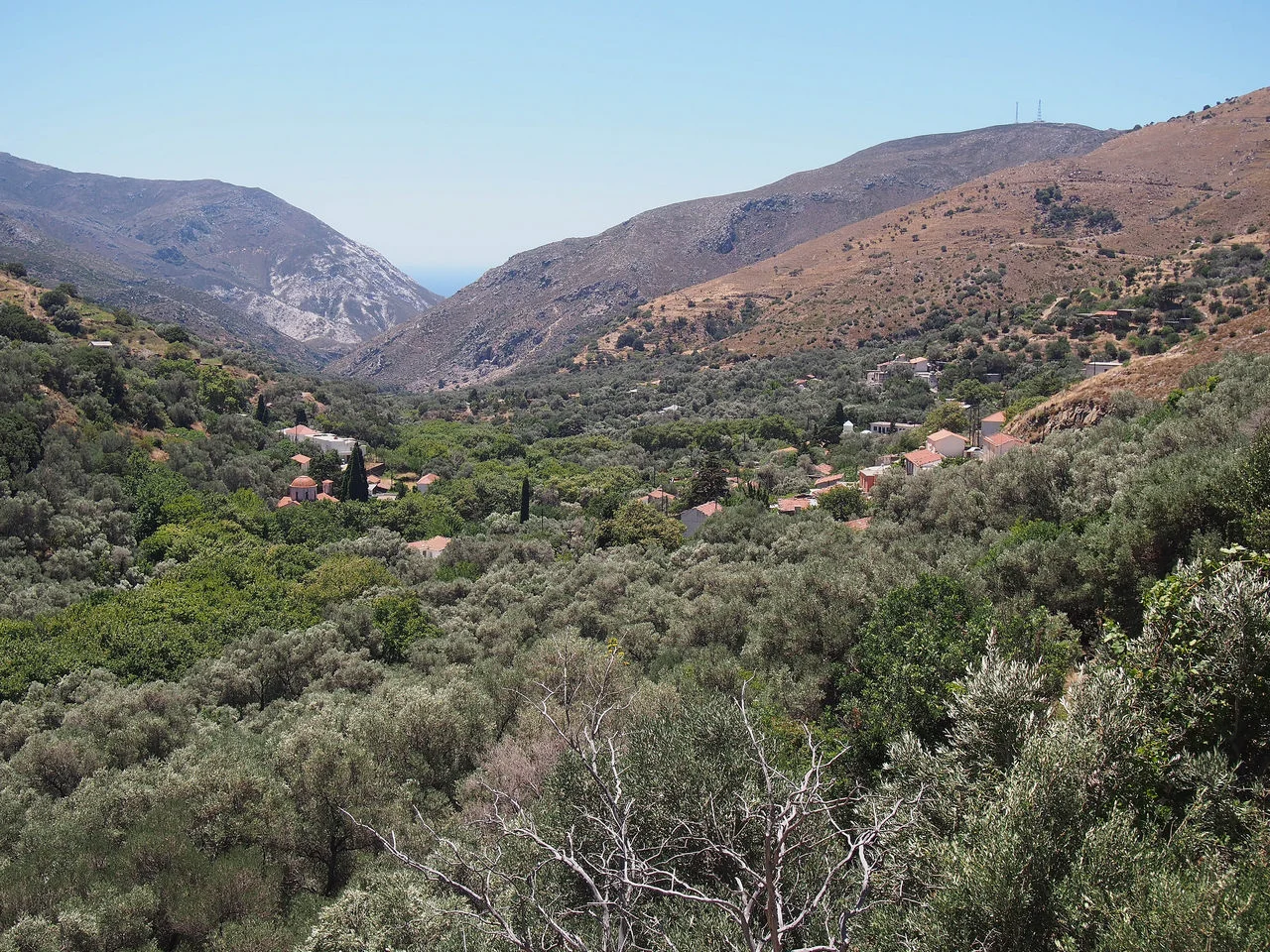 Βάθη Κισσάμου Κρήτης
