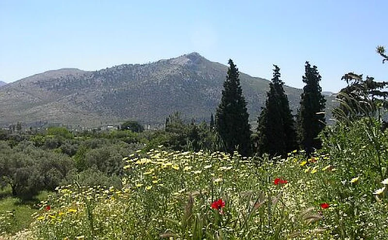 Μαραθώνας