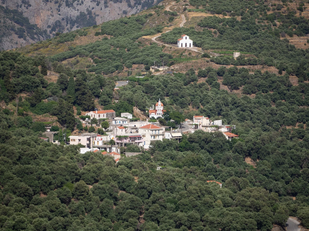 Ροδοβάνι