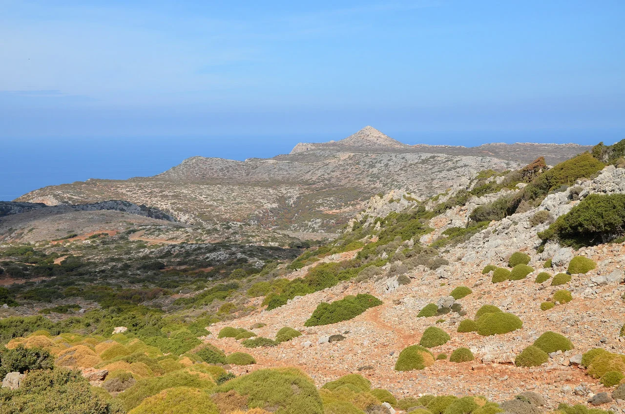 Ροδωπός