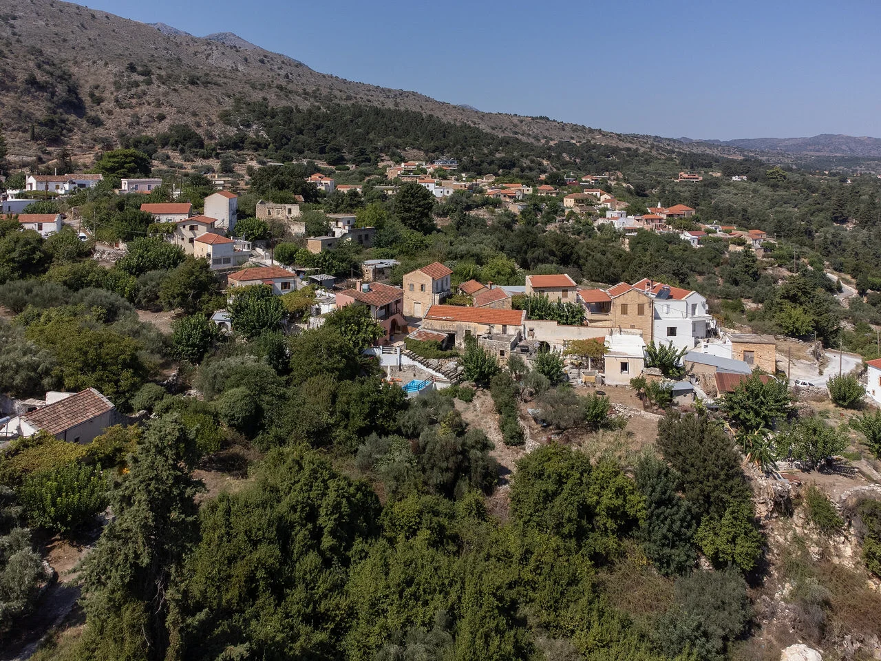 Τζιτζιφές