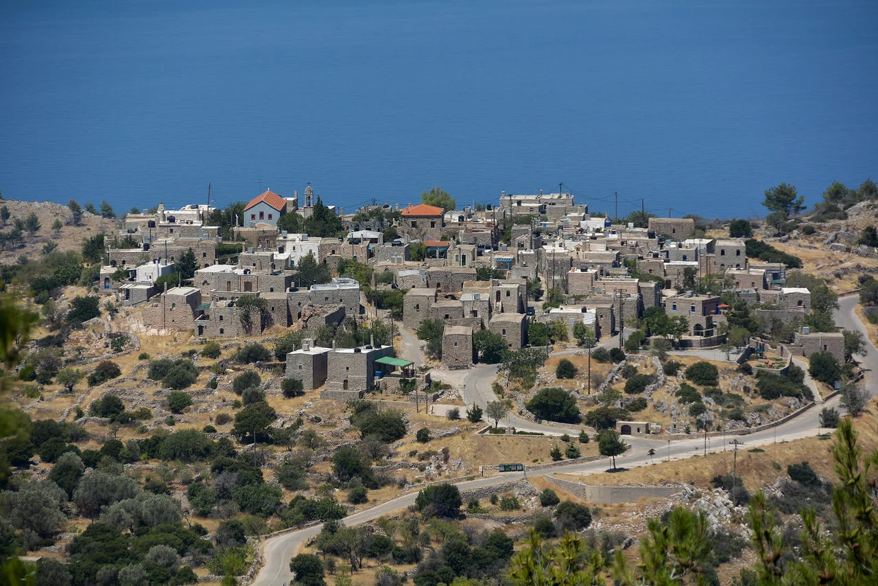 Αυγώνυμα